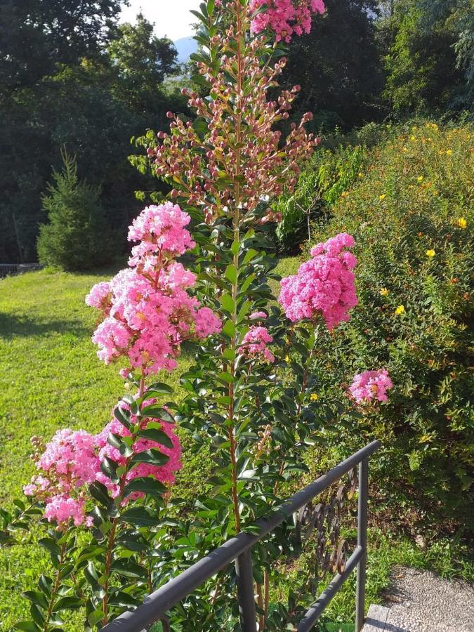 Bed and Breakfast I Barsan Bagnone Esterno foto